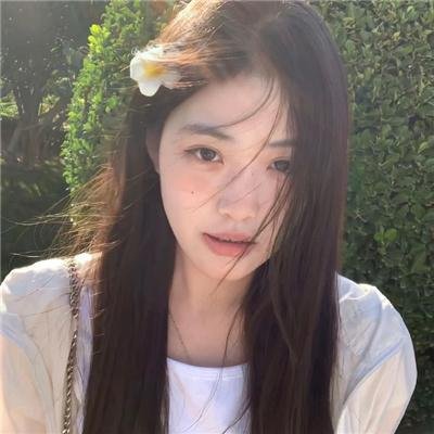 为什么猫都叫不来